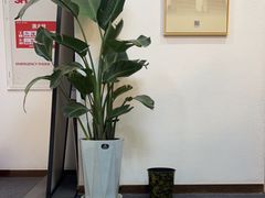 -筋骨堂热敷推拿按摩(招商花园城店)