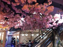 -九田家黑牛烤肉料理(新光汇店)
