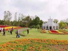 -杭州湾海上花田景区