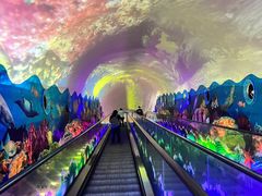 -成都浩海立方海洋公园