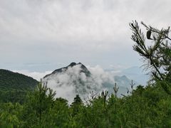 -秦岭天竺山景区