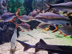 -太平洋海底世界