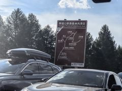 -塞罕坝国家级自然保护区