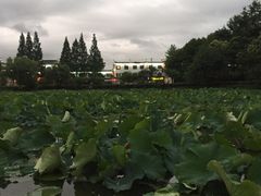 -潜口民宅博物馆