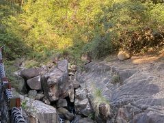 -广州白江湖森林公园