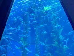 -南昌融创海世界