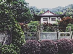 -十八棵（老龙井）御茶园(老龙井店)