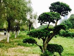 -艾溪湖湿地公园