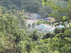 -清溪大王山森林公园