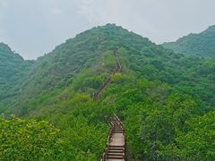 -大岭沟猕猴桃谷风景区