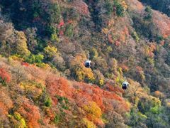 -光雾山旅游景区