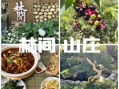 -林间山庄