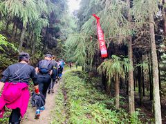 -天坑地缝国家地质公园-停车场