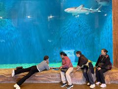 -华夏文旅海洋公园