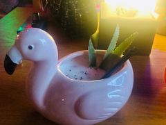 -阿卡贝拉音乐汇(印象城店)