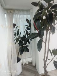 -HEYAN荷妍专业脱毛连锁机构