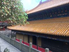 -普陀山风景名胜区-法雨禅寺