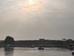 -空港花田景区