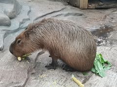 -杭州长乔极地海洋公园