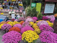 -杭州植物园