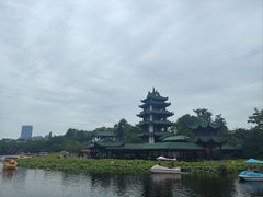 -桂湖森林公园