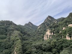 -大岭沟猕猴桃谷风景区