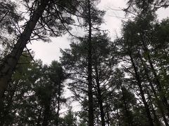 -石棉县孟获城