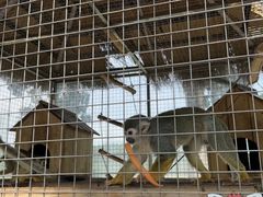 -水上乐园·欢乐世界