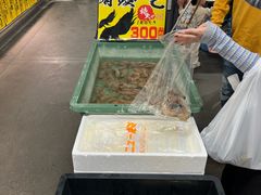 -南纪白浜Toretore市场