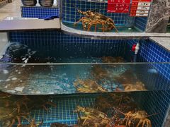 水产区-骏莱海鲜鱼港(五角场店)