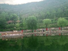 -五龙城郊森林公园