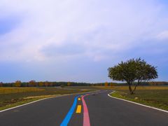 -御道口草原森林风景区