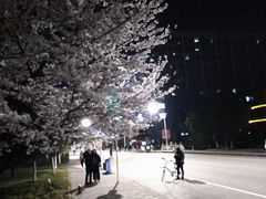 -江南大学(蠡湖校区)