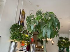 -岳姥姥饺子(泺文路店)