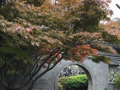 -口岸雕花楼