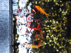 -苏州独墅湖书香世家酒店