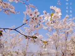-幕燕滨江·燕子矶公园