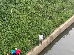 -羚羊峡古栈道森林公园