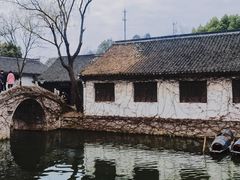 -鲁镇