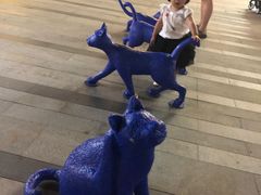 -中海环宇荟