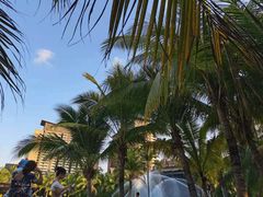 -亚马逊丛林水乐园