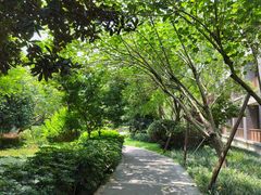 -成都安仁福朋喜来登酒店