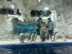 -华夏文旅海洋公园