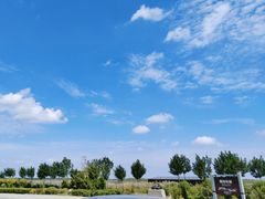 -南大港湿地风景区