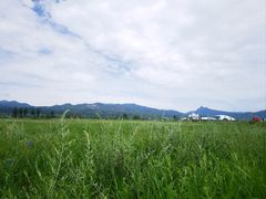 -敕勒川草原