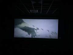 -博纳国际影城(温州5050IMAX店)