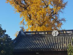 -状元楼(金溪路店)