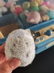 -莫莉幻想儿童乐园(北京天通苑华联店)