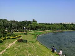 -丁香湖公园