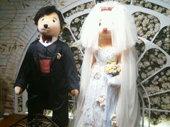 -济州岛泰迪熊博物馆